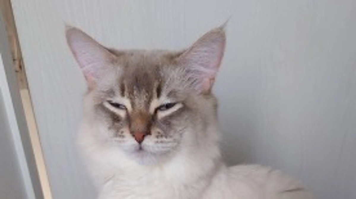 達成率が上がりました😌