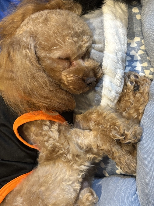 代理支援頂きました！１１月１３日のゆむ君