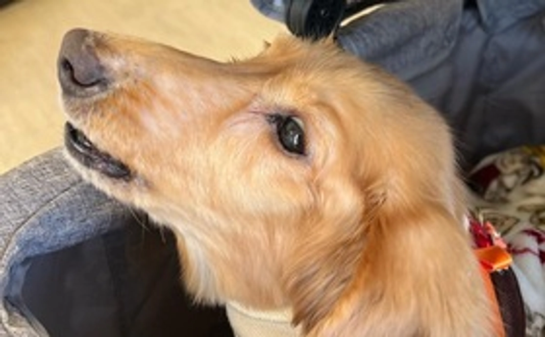 マリーへのご支援2