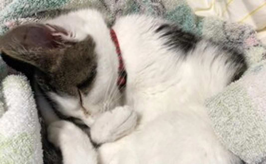 感謝のメールを送ります(リターン不要)