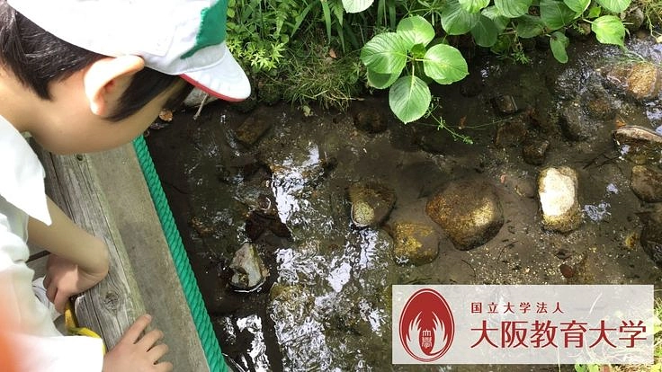 ほたる池復活プロジェクト～附属平野小学校121期生の挑戦～