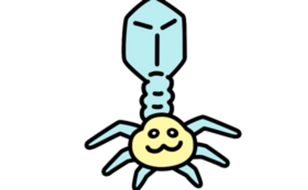 ファージキャラクター ポストカード