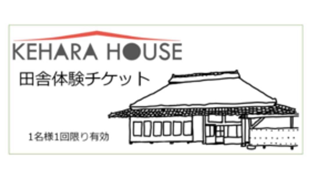 田舎体験とオリジナルステッカー1枚