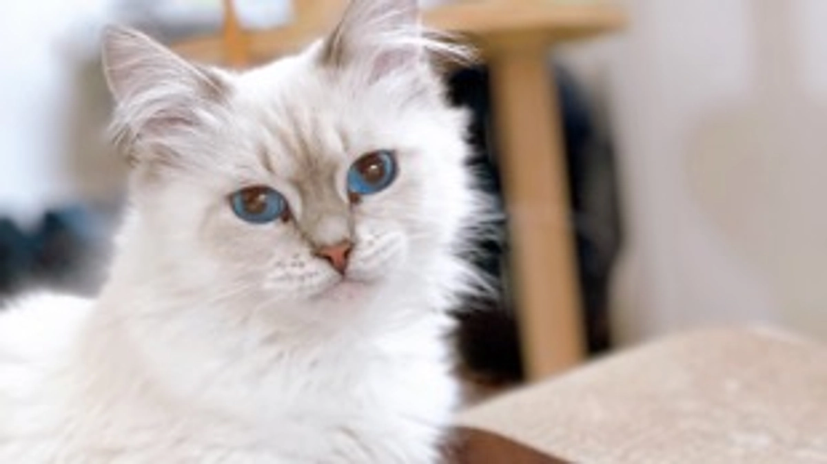 【支援金のご報告】