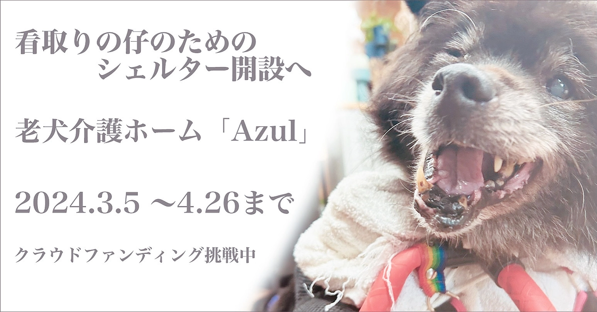 ラストスパート残り4日となり、ここまで辿り着けましたことに感謝を込めて