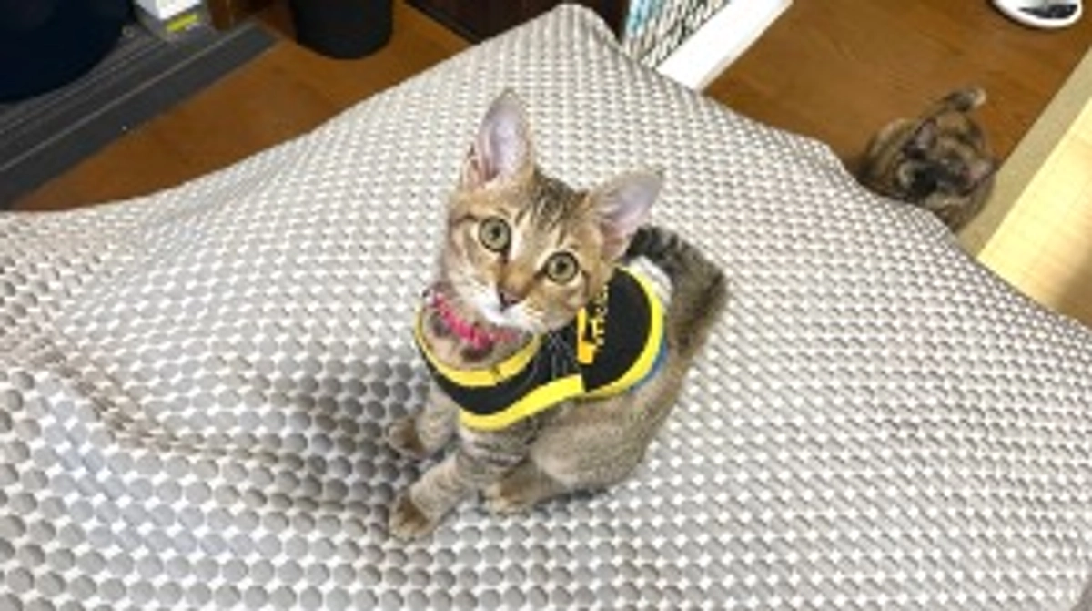 9/9(土)術後10回目の診察