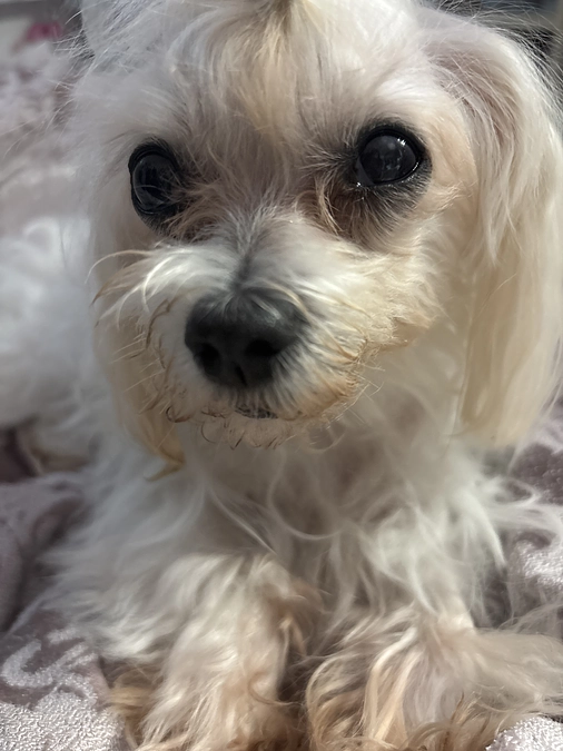 残り57日‼️ご支援への御礼