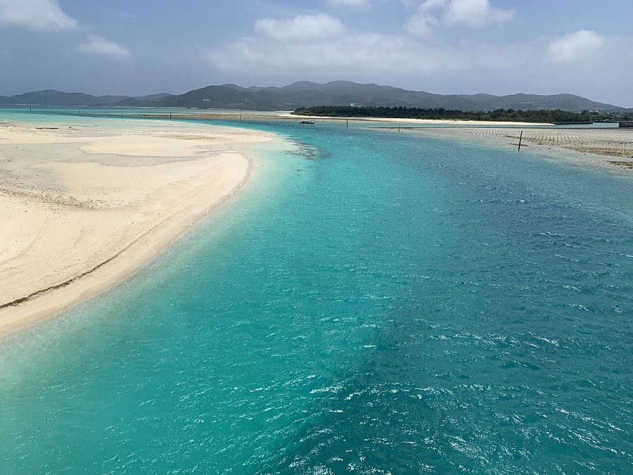 第７回久米島TNR.TNTAプロジェクト実施中【No.2】