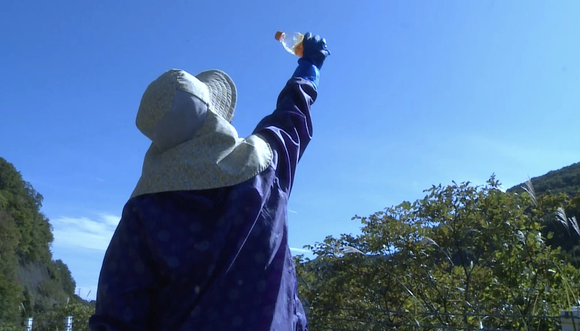 ソーシャルエッグさんに取り上げていただきました！！！