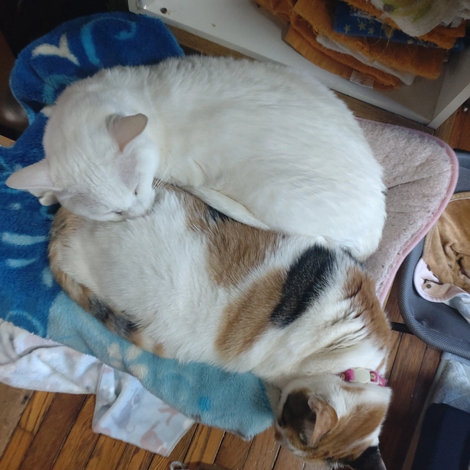 ビックリ!!!　コンビ😁