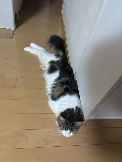 手術後の経過観察に行ってきました！