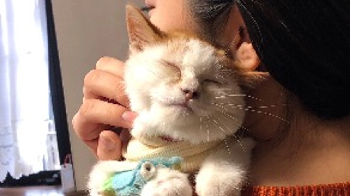 第一目標達成の御礼　そして…