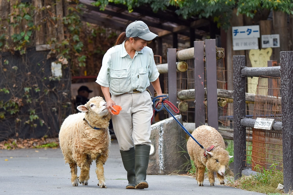 2月12日(月)進捗報告～目標達成に向けて～
