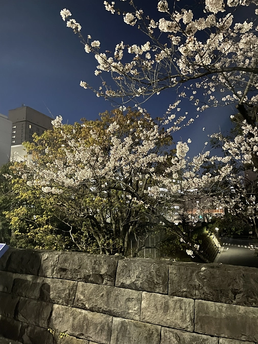 【研究秘話】国会図書館を活用することの３つの強み