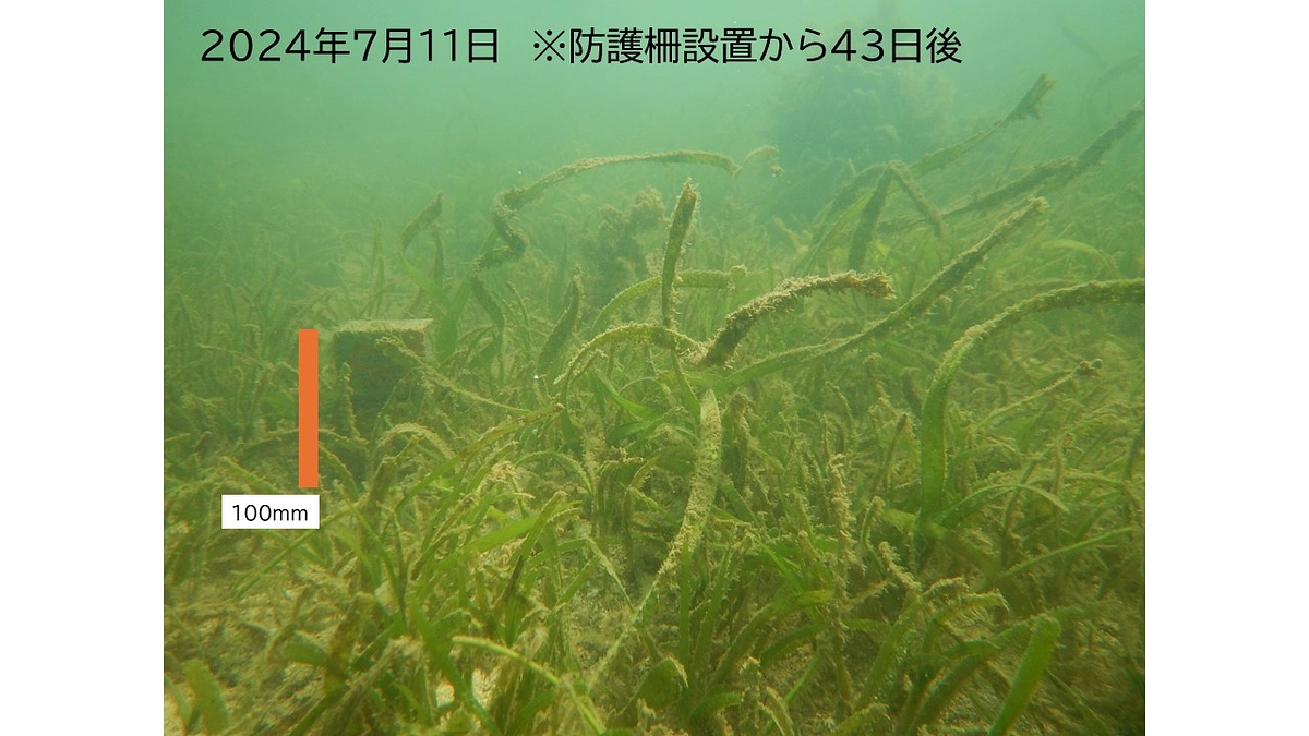 成長していました！