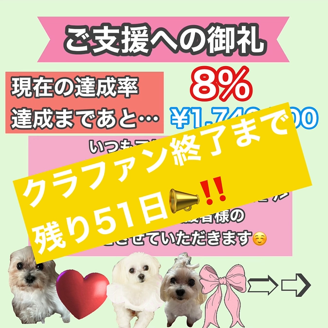 残り51日‼️通院結果とご支援への御礼