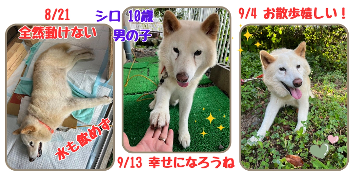 お盆以降　こんなことがありました！