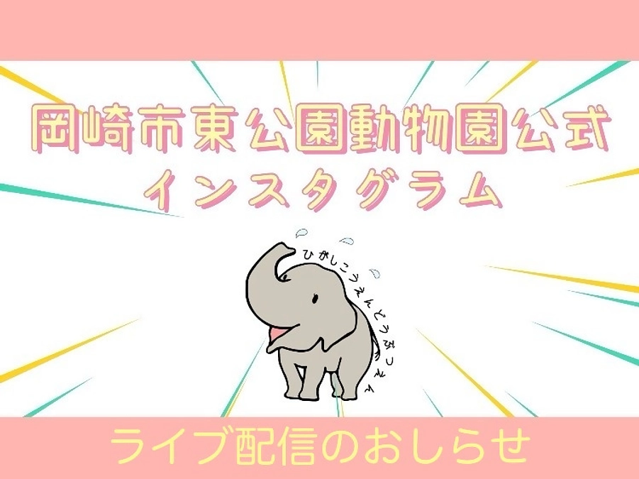 インスタライブ緊急開催！クラウドファンディングラストスパート！