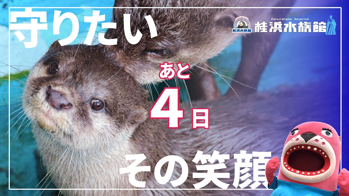 ＼あと4日！／あたたかい応援メッセージありがとうございます！