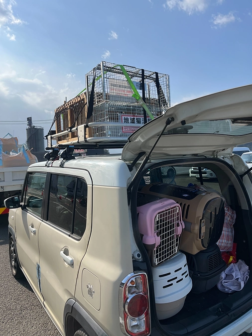 【50%！300万目前！】島の捕獲開始。