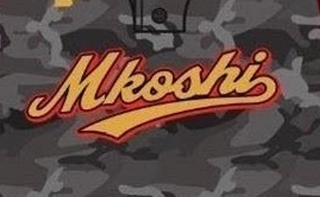 感謝のメール+活動報告+大会写真をデータで送ります