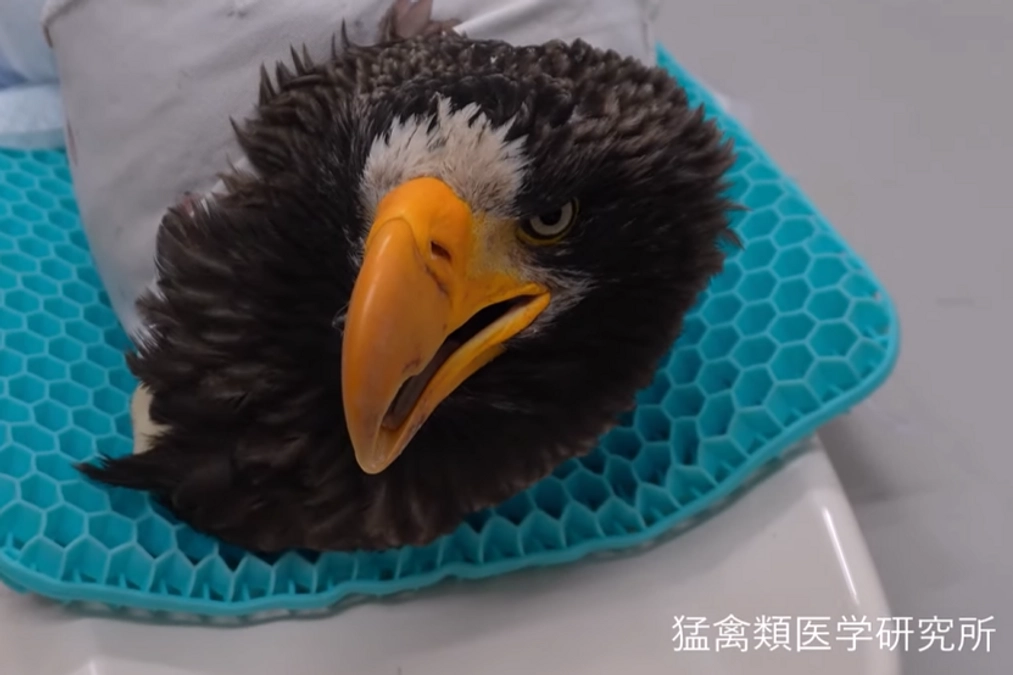 除圧マットの上で入院中