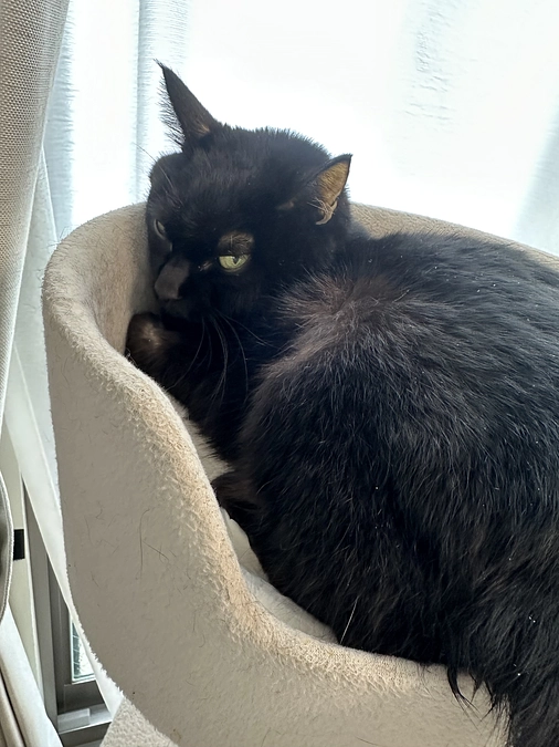 ちびの今と通院報告