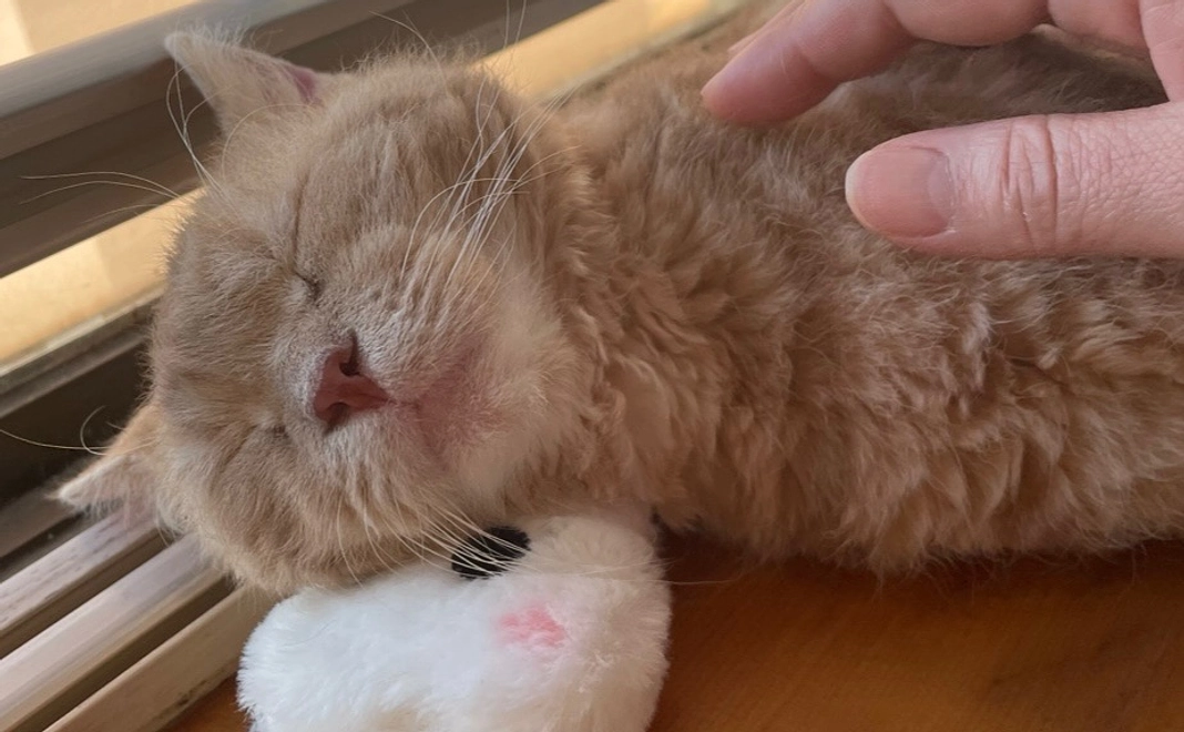 感謝のメール【2】