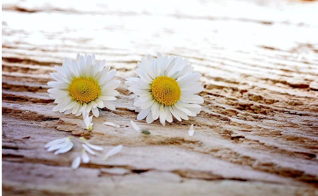 ご報告と感謝のメール(2)