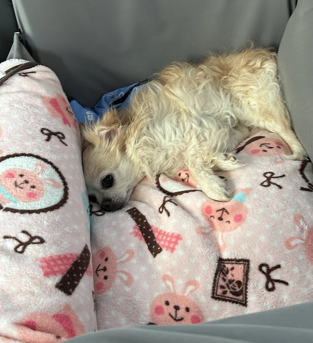 本日はあまり元気がありませんでした…。。