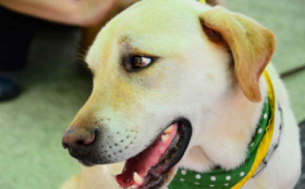 活動を応援サポートコース