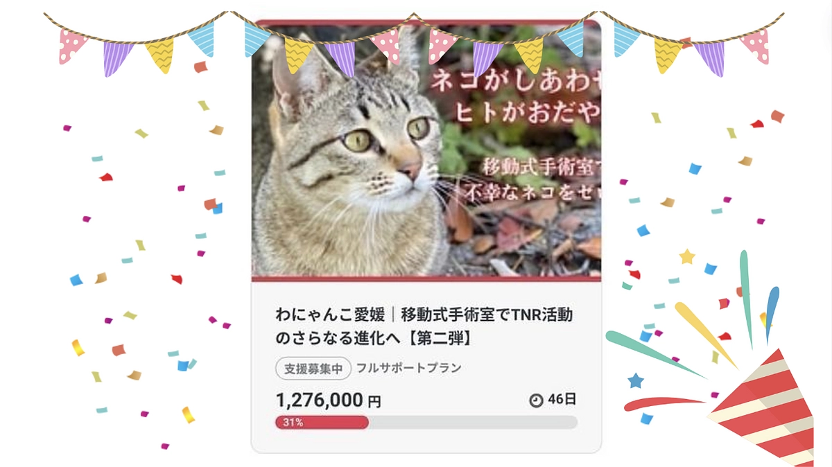 30% 120万達成できました。ありがとうございます🙇‍引き続き応援よろしくお願いいたします