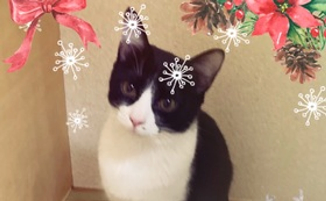 ご支援ありがとうございます。（3000円）