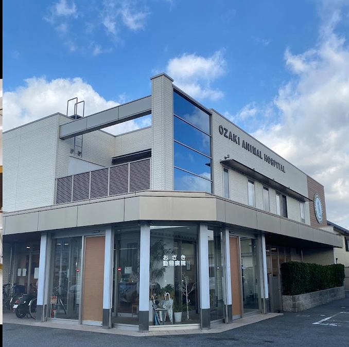 【次の目標２５０万へ向けて❣️】チラシ掲示ご協力店ご紹介しまーす