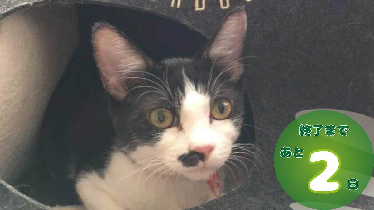 クラウドファンディング終了まで、残り2日！