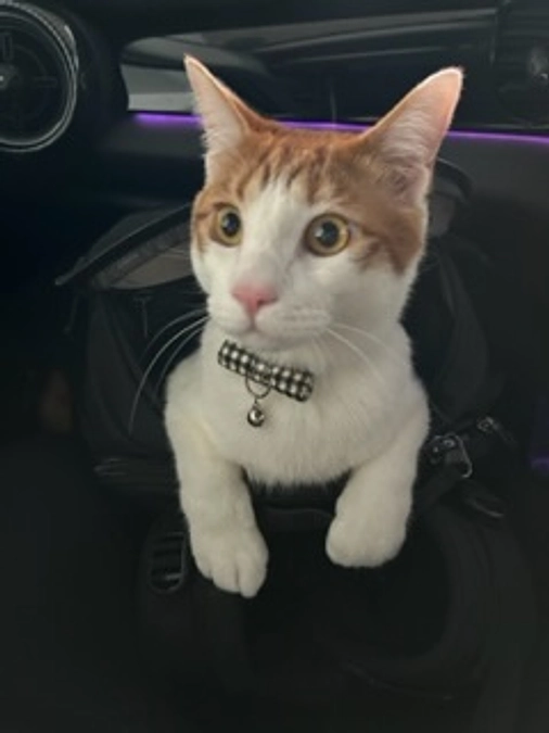 病院に向かい中です！