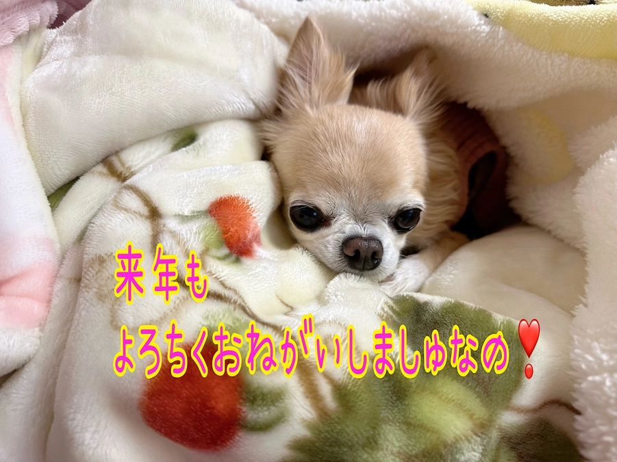 2023年 皆様と出逢えた事はかけがえのない宝物です