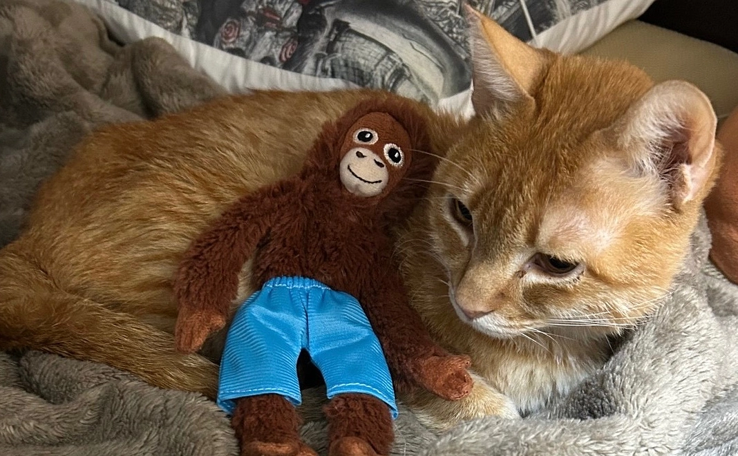 サンくん応援プラン1