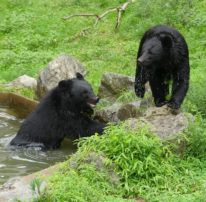 【お知らせ】現在挑戦中のクラウドファンディングが、達成率40%を突破しました！