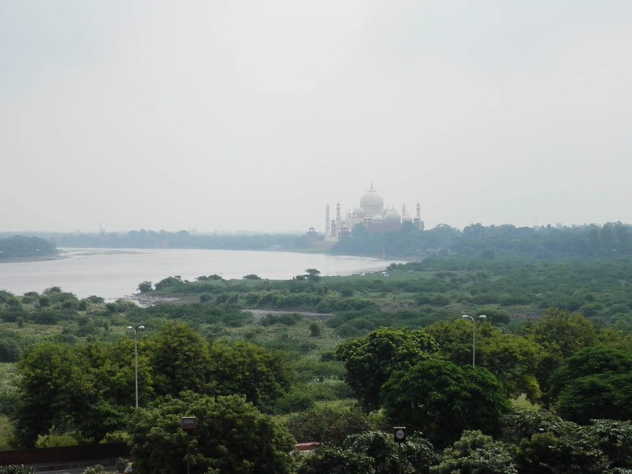 終了まで残り1日！