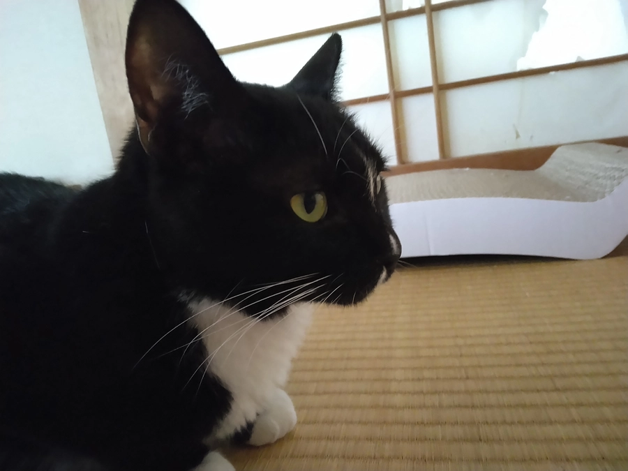 6/7はなちゃんの様子