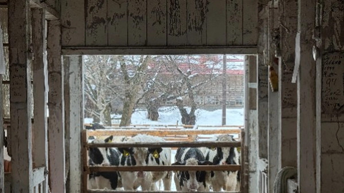 【開始10日目】あたたかいご支援ありがとうございます！