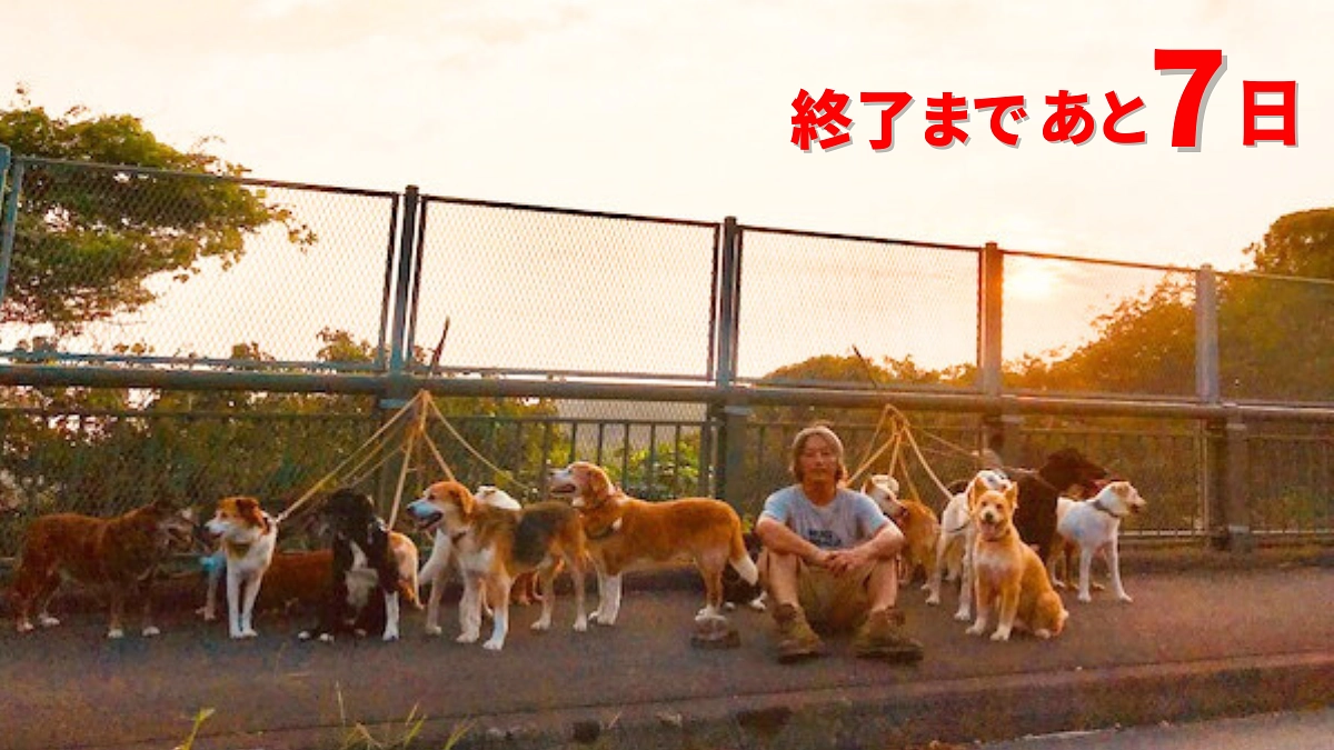【活動の始まり】殺処分される犬たちの存在が大きくなったとき、自分が幸せでいられなくなりました。