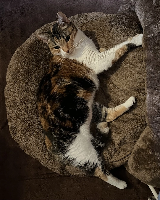 1週間が経ちました