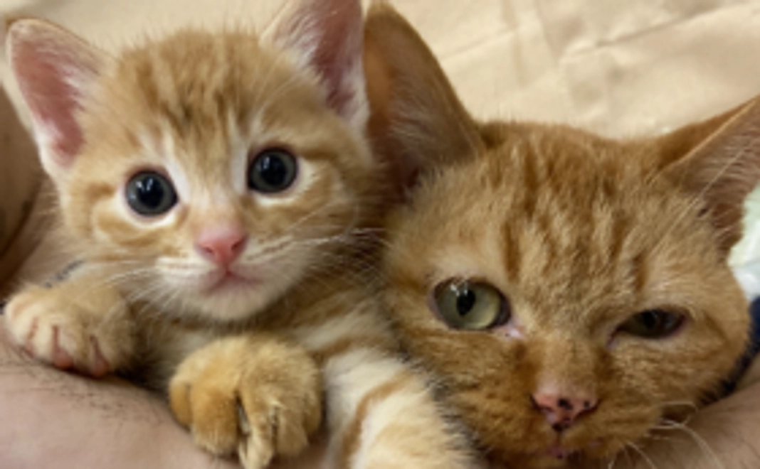 【リターンはご不要な方へ】3千円応援コース