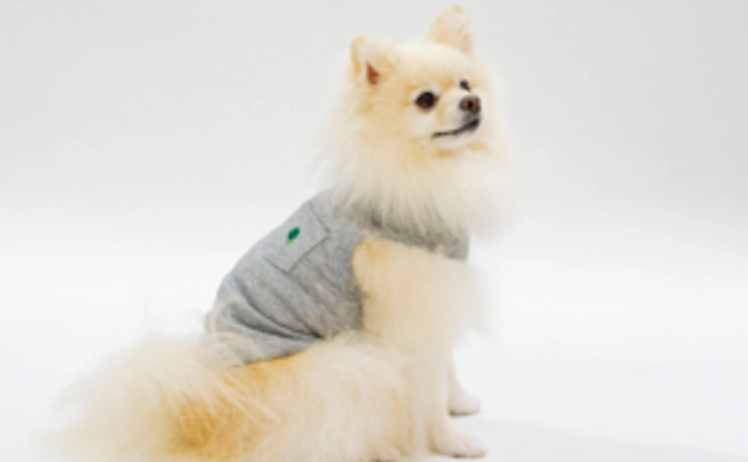 遠赤外線アルファフレッシュ ドッグウェア×1枚