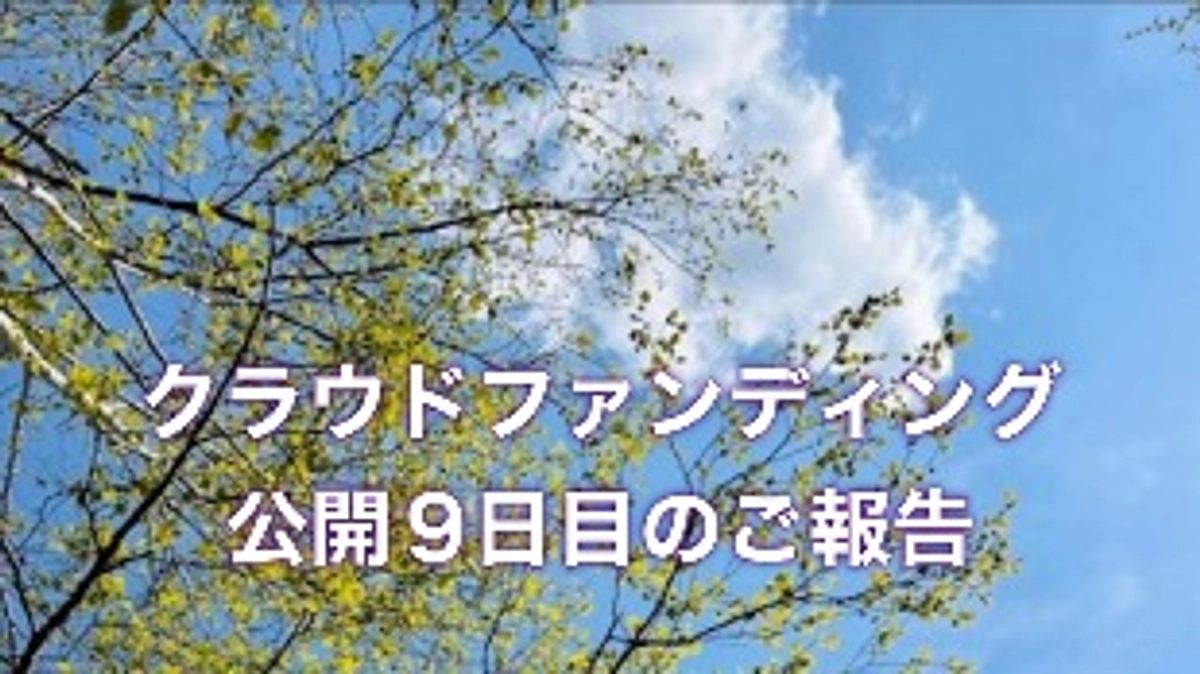 減税は無責任ではない