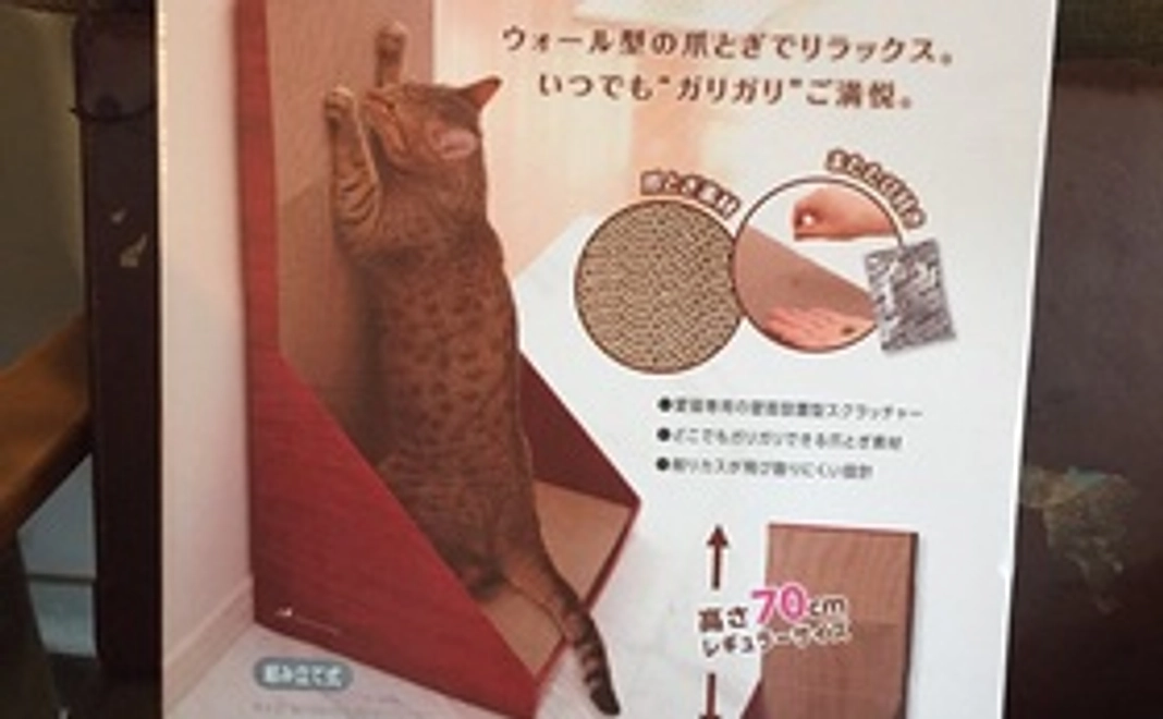 サンクスレター+猫カレンダー+猫の可愛いツメ研ぎ