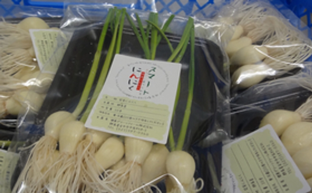 スマートにんにく６本入５パック