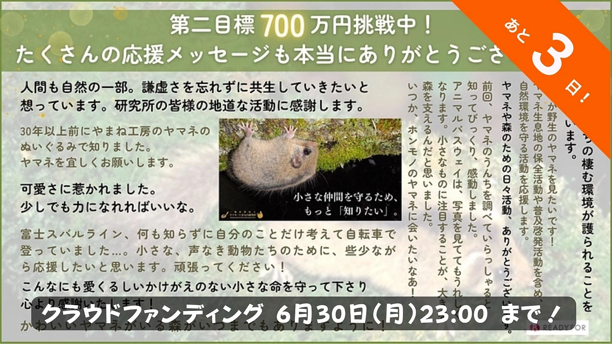 📣【応援コメントのご紹介】